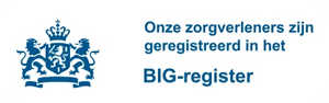 Bigregister logo